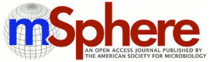 msphere