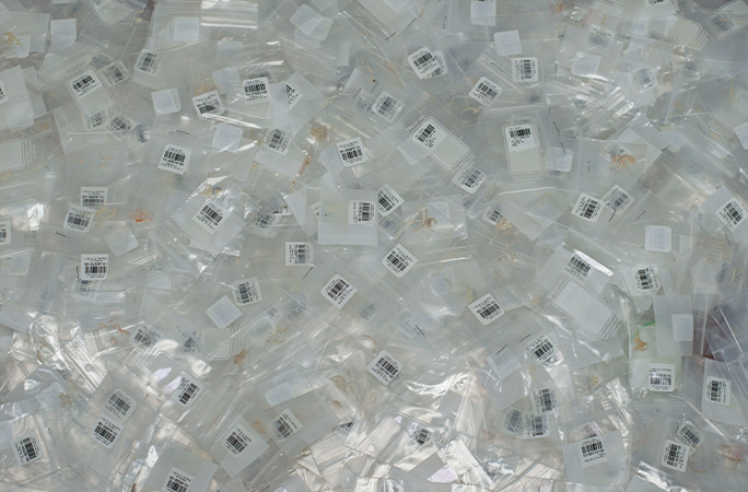 Got Your Toe(nails)! Guinness World Record Revisited